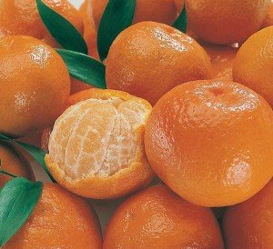 fruit_mandarin_imperial__81577